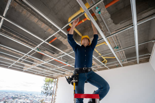 Best Plumbing Services Near Me  in Miles, TX